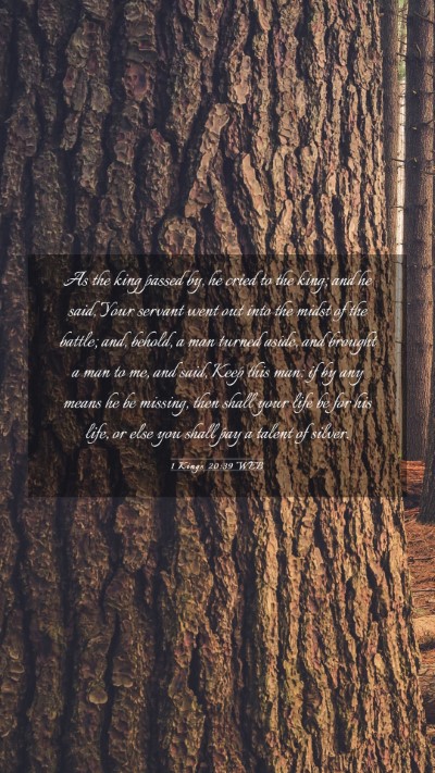 Picture 03 - 1 Kings 20:39 WEB Mobile Phone Wallpaper - As the king passed by, he cried to the king; and - Mobile Bible Verse Wallpaper