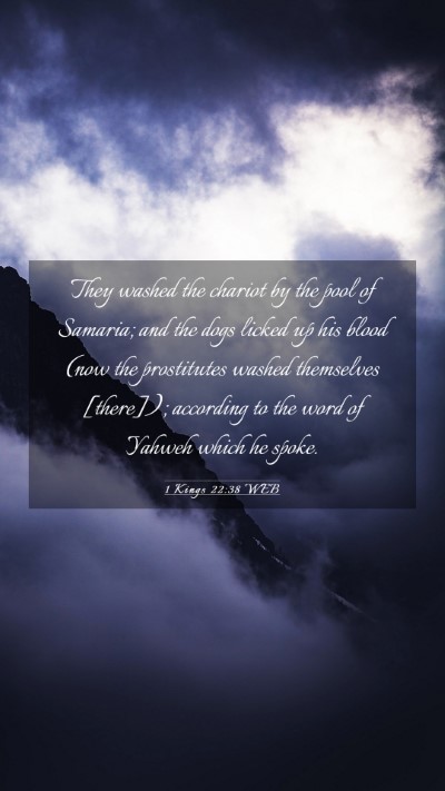 Picture 03 - 1 Kings 22:38 WEB Mobile Phone Wallpaper - They washed the chariot by the pool of Samaria; - Mobile Bible Verse Wallpaper