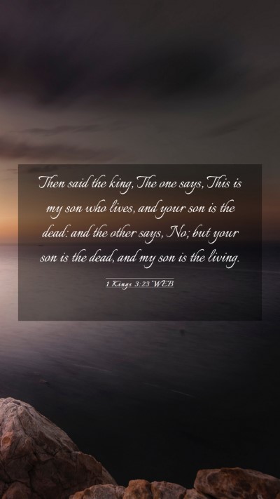 Picture 03 - 1 Kings 3:23 WEB Mobile Phone Wallpaper - Then said the king, The one says, This is my son - Mobile Bible Verse Wallpaper