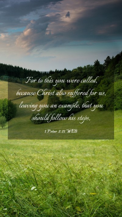 Picture 03 - 1 Peter 2:21 WEB Mobile Phone Wallpaper - For to this you were called, because Christ also - Mobile Bible Verse Wallpaper
