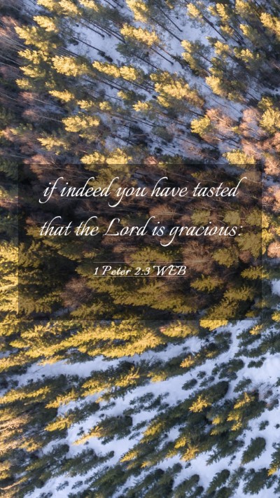 Picture 03 - 1 Peter 2:3 WEB Mobile Phone Wallpaper - if indeed you have tasted that the Lord is - Mobile Bible Verse Wallpaper