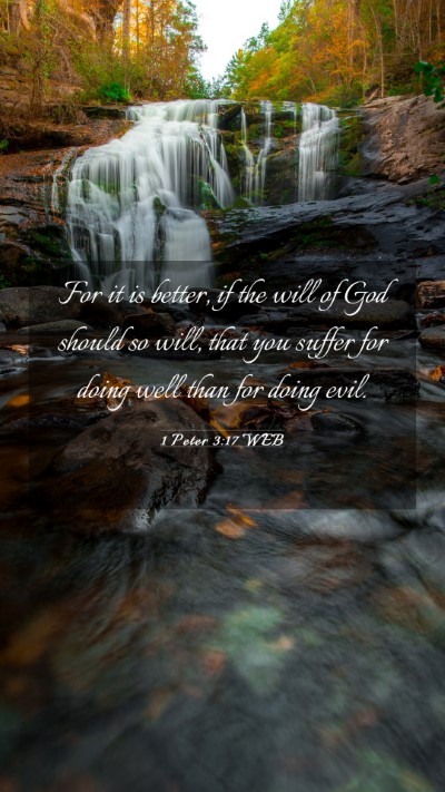 Picture 03 - 1 Peter 3:17 WEB Mobile Phone Wallpaper - For it is better, if the will of God should so - Mobile Bible Verse Wallpaper