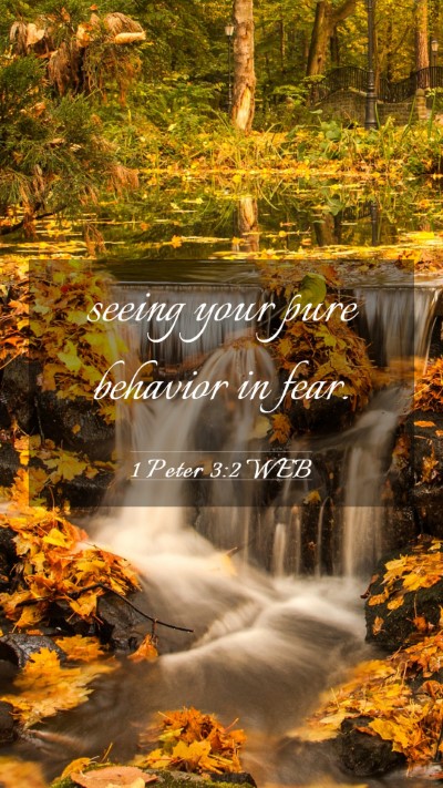 Picture 03 - 1 Peter 3:2 WEB Mobile Phone Wallpaper - seeing your pure behavior in - Mobile Bible Verse Wallpaper