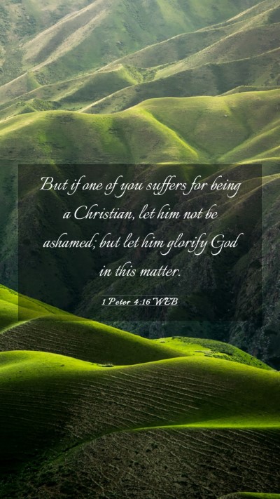 Picture 03 - 1 Peter 4:16 WEB Mobile Phone Wallpaper - But if one of you suffers for being a Christian, - Mobile Bible Verse Wallpaper