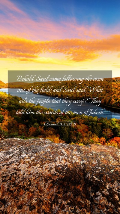 Picture 03 - 1 Samuel 11:5 WEB Mobile Phone Wallpaper - Behold, Saul came following the oxen out of the - Mobile Bible Verse Wallpaper