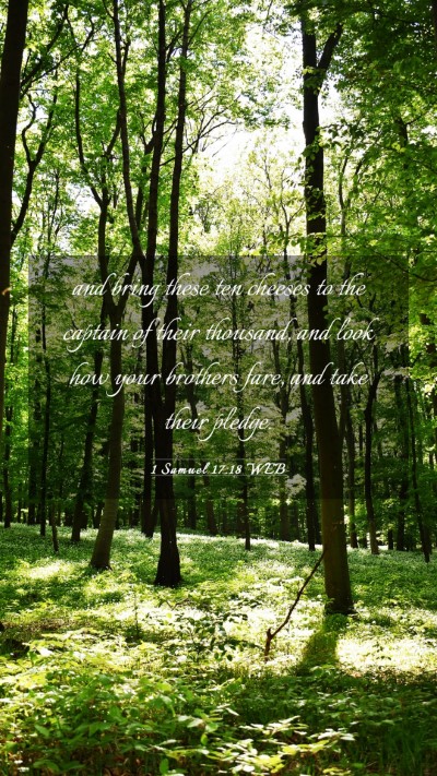 Picture 03 - 1 Samuel 17:18 WEB Mobile Phone Wallpaper - and bring these ten cheeses to the captain of - Mobile Bible Verse Wallpaper