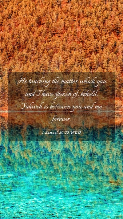 Picture 03 - 1 Samuel 20:23 WEB Mobile Phone Wallpaper - As touching the matter which you and I have - Mobile Bible Verse Wallpaper