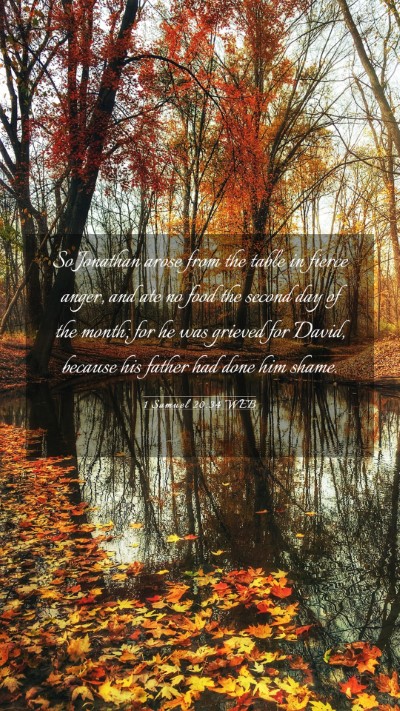 Picture 03 - 1 Samuel 20:34 WEB Mobile Phone Wallpaper - So Jonathan arose from the table in fierce anger, - Mobile Bible Verse Wallpaper
