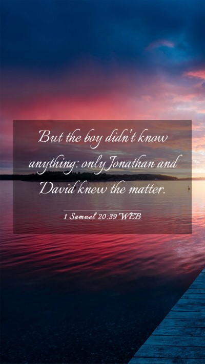 Picture 03 - 1 Samuel 20:39 WEB Mobile Phone Wallpaper - But the boy didn't know anything: only Jonathan - Mobile Bible Verse Wallpaper