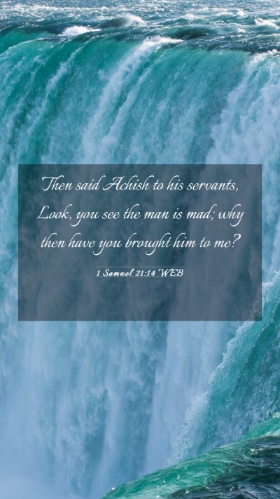 Picture 03 - 1 Samuel 21:14 WEB Mobile Phone Wallpaper - Then said Achish to his servants, Look, you see - Mobile Bible Verse Wallpaper