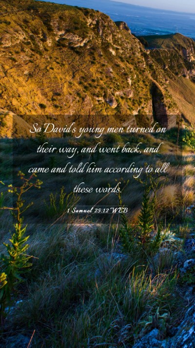 Picture 03 - 1 Samuel 25:12 WEB Mobile Phone Wallpaper - So David's young men turned on their way, and - Mobile Bible Verse Wallpaper