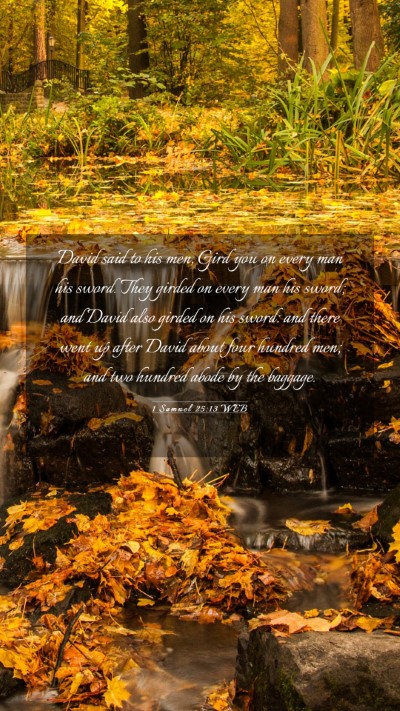 Picture 03 - 1 Samuel 25:13 WEB Mobile Phone Wallpaper - David said to his men, Gird you on every man his - Mobile Bible Verse Wallpaper