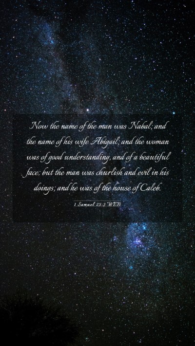 Picture 03 - 1 Samuel 25:3 WEB Mobile Phone Wallpaper - Now the name of the man was Nabal; and the name - Mobile Bible Verse Wallpaper