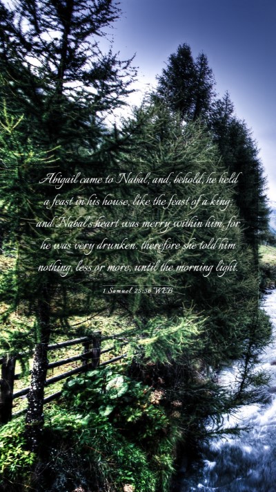 Picture 03 - 1 Samuel 25:36 WEB Mobile Phone Wallpaper - Abigail came to Nabal; and, behold, he held a - Mobile Bible Verse Wallpaper