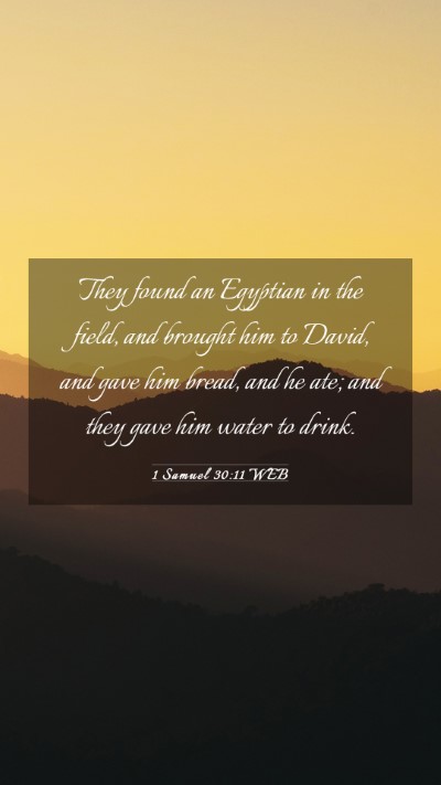 Picture 03 - 1 Samuel 30:11 WEB Mobile Phone Wallpaper - They found an Egyptian in the field, and brought - Mobile Bible Verse Wallpaper
