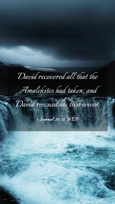 Picture 03 - 1 Samuel 30:18 WEB Mobile Phone Wallpaper - David recovered all that the Amalekites had - Mobile Bible Verse Wallpaper