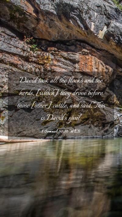 Picture 03 - 1 Samuel 30:20 WEB Mobile Phone Wallpaper - David took all the flocks and the herds, [which] - Mobile Bible Verse Wallpaper