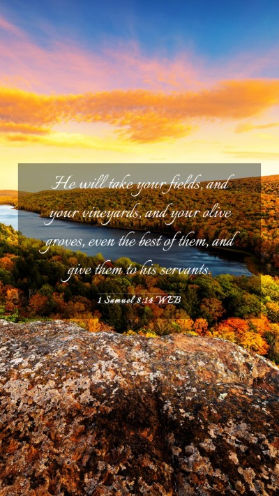 Picture 03 - 1 Samuel 8:14 WEB Mobile Phone Wallpaper - He will take your fields, and your vineyards, and - Mobile Bible Verse Wallpaper