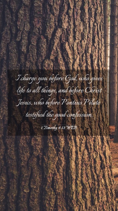 Picture 03 - 1 Timothy 6:13 WEB Mobile Phone Wallpaper - I charge you before God, who gives life to all - Mobile Bible Verse Wallpaper
