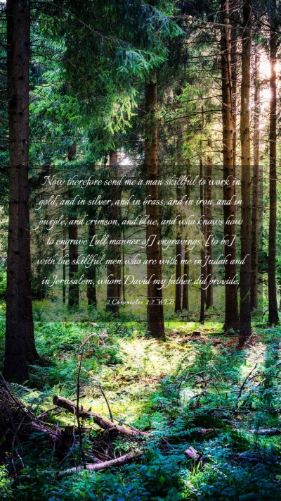 Picture 03 - 2 Chronicles 2:7 WEB Mobile Phone Wallpaper - Now therefore send me a man skillful to work in - Mobile Bible Verse Wallpaper
