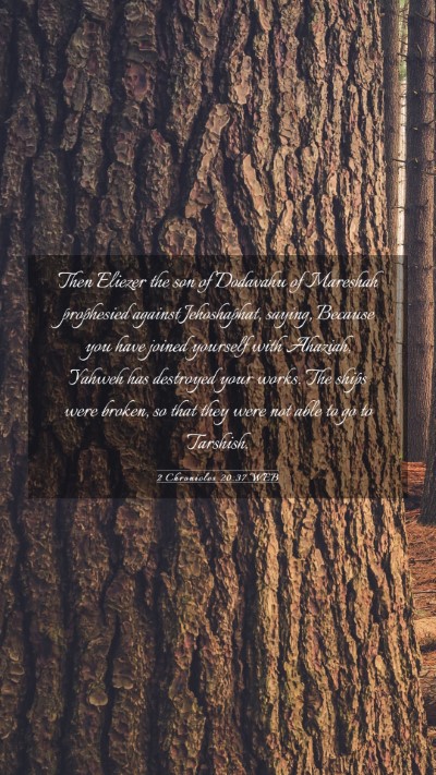 Picture 03 - 2 Chronicles 20:37 WEB Mobile Phone Wallpaper - Then Eliezer the son of Dodavahu of Mareshah - Mobile Bible Verse Wallpaper