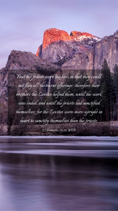 Picture 03 - 2 Chronicles 29:34 WEB Mobile Phone Wallpaper - But the priests were too few, so that they could - Mobile Bible Verse Wallpaper