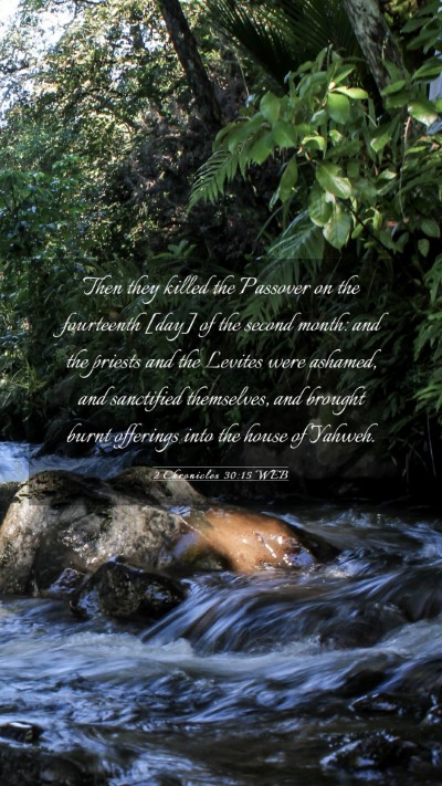 Picture 03 - 2 Chronicles 30:15 WEB Mobile Phone Wallpaper - Then they killed the Passover on the fourteenth - Mobile Bible Verse Wallpaper