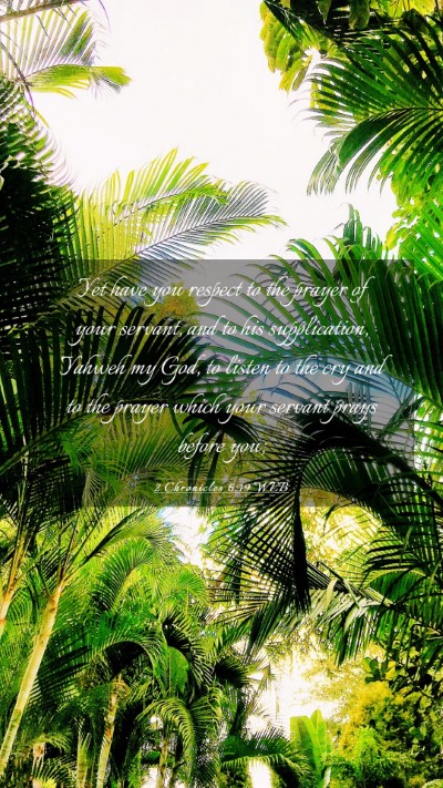 Picture 03 - 2 Chronicles 6:19 WEB Mobile Phone Wallpaper - Yet have you respect to the prayer of your - Mobile Bible Verse Wallpaper