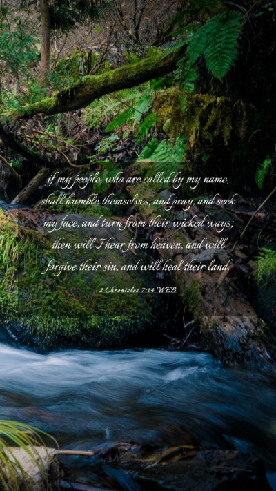 Picture 03 - 2 Chronicles 7:14 WEB Mobile Phone Wallpaper - if my people, who are called by my name, shall - Mobile Bible Verse Wallpaper