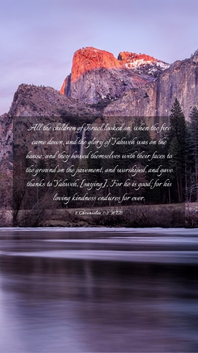 Picture 03 - 2 Chronicles 7:3 WEB Mobile Phone Wallpaper - All the children of Israel looked on, when the - Mobile Bible Verse Wallpaper