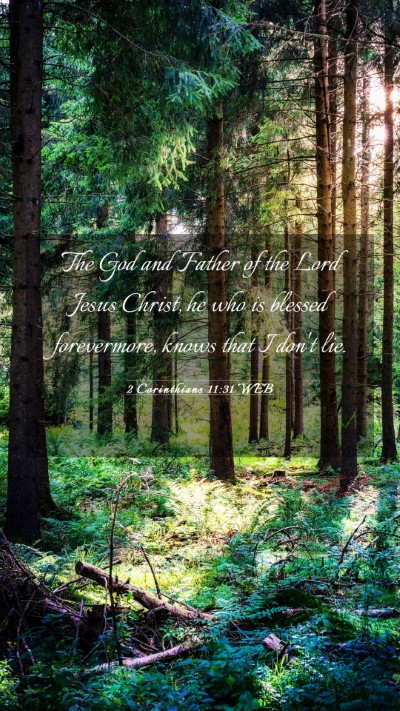 Picture 03 - 2 Corinthians 11:31 WEB Mobile Phone Wallpaper - The God and Father of the Lord Jesus Christ, he - Mobile Bible Verse Wallpaper