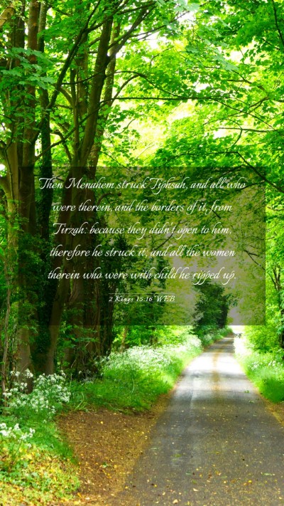 Picture 03 - 2 Kings 15:16 WEB Mobile Phone Wallpaper - Then Menahem struck Tiphsah, and all who were - Mobile Bible Verse Wallpaper