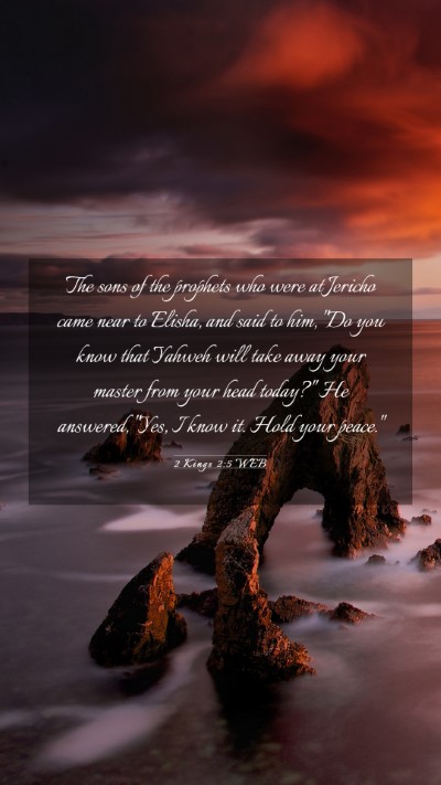 Picture 03 - 2 Kings 2:5 WEB Mobile Phone Wallpaper - The sons of the prophets who were at Jericho came - Mobile Bible Verse Wallpaper