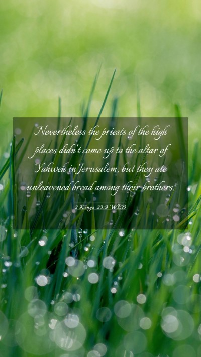 Picture 03 - 2 Kings 23:9 WEB Mobile Phone Wallpaper - Nevertheless the priests of the high places - Mobile Bible Verse Wallpaper