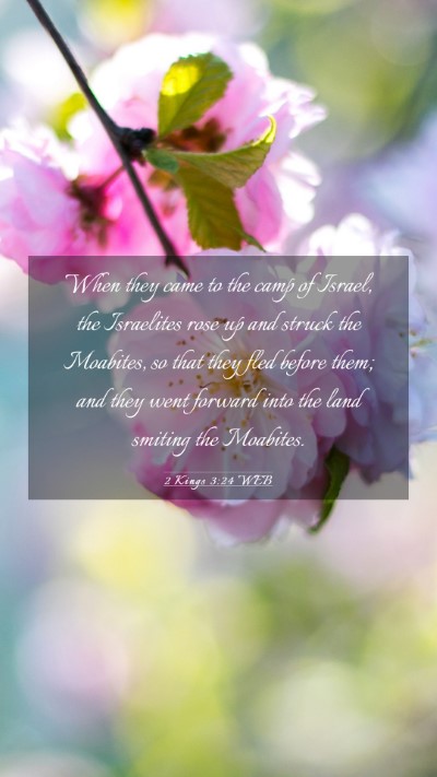 Picture 03 - 2 Kings 3:24 WEB Mobile Phone Wallpaper - When they came to the camp of Israel, the - Mobile Bible Verse Wallpaper