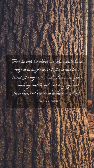 Picture 03 - 2 Kings 3:27 WEB Mobile Phone Wallpaper - Then he took his eldest son who would have - Mobile Bible Verse Wallpaper