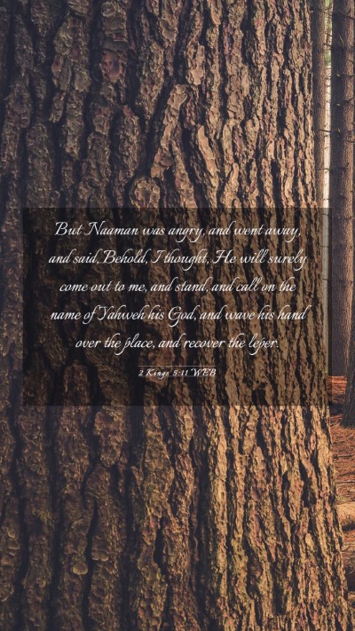 Picture 03 - 2 Kings 5:11 WEB Mobile Phone Wallpaper - But Naaman was angry, and went away, and said, - Mobile Bible Verse Wallpaper