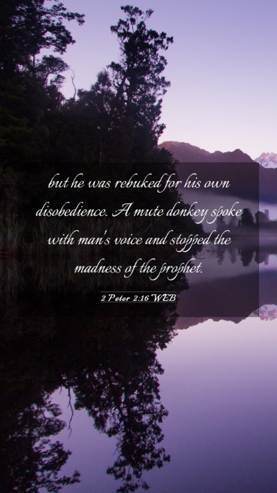 Picture 03 - 2 Peter 2:16 WEB Mobile Phone Wallpaper - but he was rebuked for his own disobedience. A - Mobile Bible Verse Wallpaper