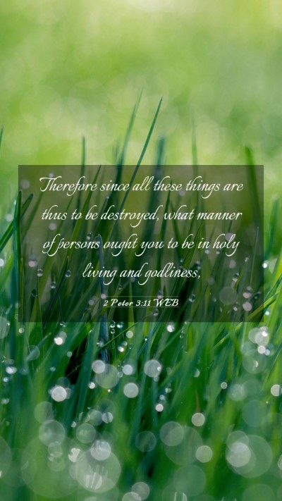 Picture 03 - 2 Peter 3:11 WEB Mobile Phone Wallpaper - Therefore since all these things are thus to be - Mobile Bible Verse Wallpaper