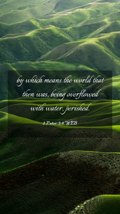 Picture 03 - 2 Peter 3:6 WEB Mobile Phone Wallpaper - by which means the world that then was, being - Mobile Bible Verse Wallpaper