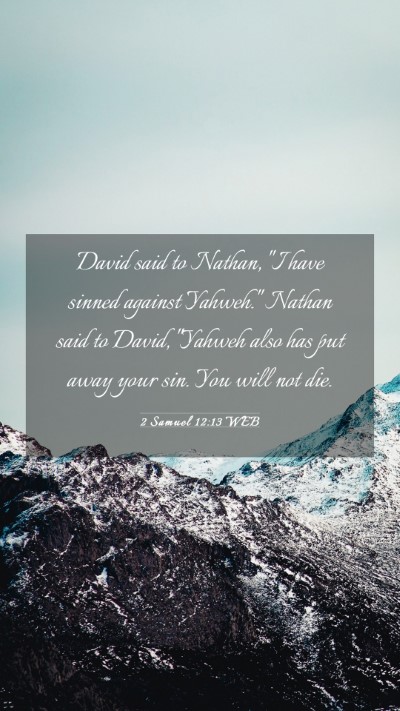 Picture 03 - 2 Samuel 12:13 WEB Mobile Phone Wallpaper - David said to Nathan, 
