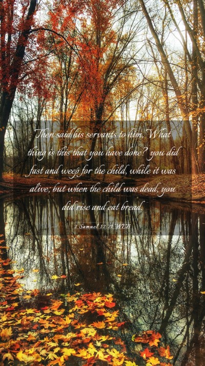 Picture 03 - 2 Samuel 12:21 WEB Mobile Phone Wallpaper - Then said his servants to him, What thing is this - Mobile Bible Verse Wallpaper