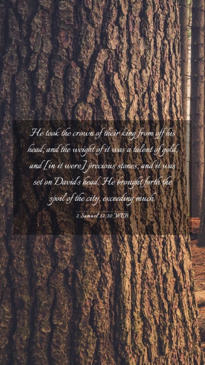 Picture 03 - 2 Samuel 12:30 WEB Mobile Phone Wallpaper - He took the crown of their king from off his - Mobile Bible Verse Wallpaper