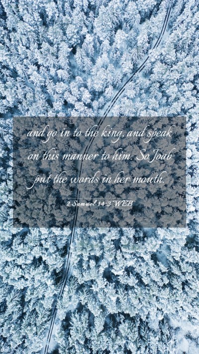 Picture 03 - 2 Samuel 14:3 WEB Mobile Phone Wallpaper - and go in to the king, and speak on this manner - Mobile Bible Verse Wallpaper