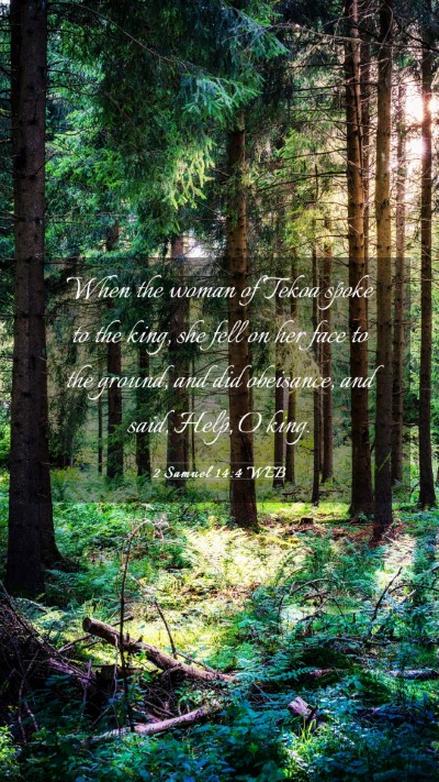 Picture 03 - 2 Samuel 14:4 WEB Mobile Phone Wallpaper - When the woman of Tekoa spoke to the king, she - Mobile Bible Verse Wallpaper