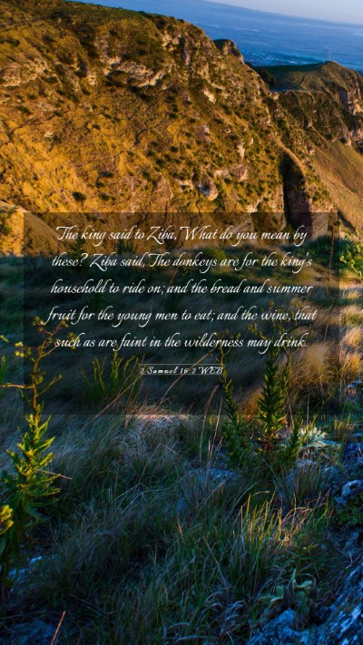 Picture 03 - 2 Samuel 16:2 WEB Mobile Phone Wallpaper - The king said to Ziba, What do you mean by these? - Mobile Bible Verse Wallpaper