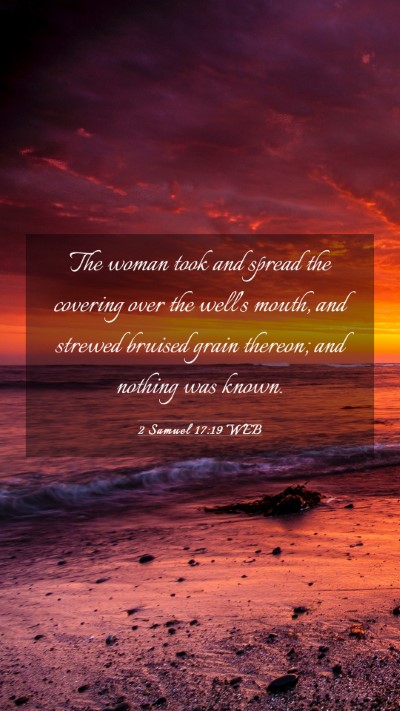 Picture 03 - 2 Samuel 17:19 WEB Mobile Phone Wallpaper - The woman took and spread the covering over the - Mobile Bible Verse Wallpaper