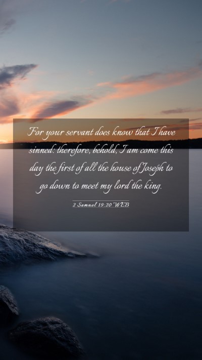Picture 03 - 2 Samuel 19:20 WEB Mobile Phone Wallpaper - For your servant does know that I have sinned: - Mobile Bible Verse Wallpaper