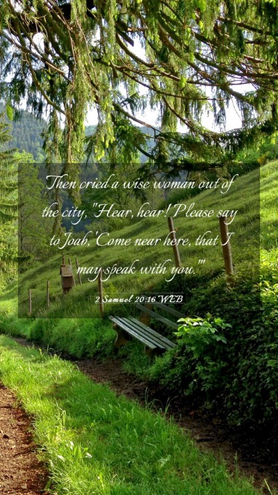 Picture 03 - 2 Samuel 20:16 WEB Mobile Phone Wallpaper - Then cried a wise woman out of the city, 