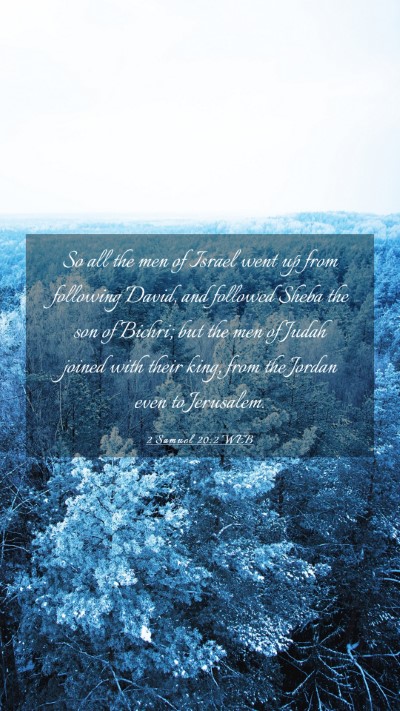Picture 03 - 2 Samuel 20:2 WEB Mobile Phone Wallpaper - So all the men of Israel went up from following - Mobile Bible Verse Wallpaper